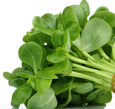 Yoğurtlu Semizotu Salatası Tarifi