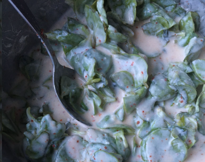 Yoğurtlu Semizotu Salatası Tarifi